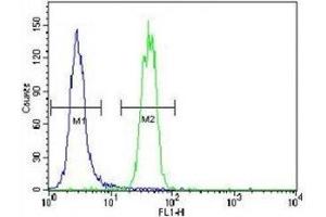 Flow Cytometry (FACS) image for anti-Small Ubiquitin Related Modifier Protein 1 (SUMO1) (AA 1-30) antibody (ABIN3032644)