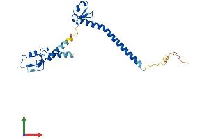 AlphaFold protein structure predicition of Human Recombinant TRIM61 Protein, UniprotID Q5EBN2