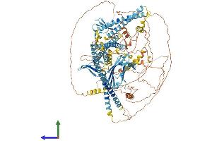 Protein Structure (PS) image for WW and C2 Domain Containing 1 (WWC1) (AA 1-1104) protein (His tag) (ABIN7563851)