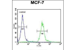 Flow cytometric analysis of MCF-7 cells (right histogram) compared to a negative control cell (left histogram). (AVPI1 antibody  (N-Term))