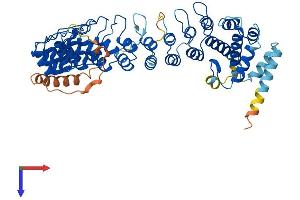 AlphaFold protein structure predicition of Mouse Recombinant Ankdd1b Protein, UniprotID Q14DN9