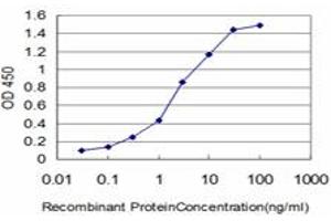 Detection limit for recombinant GST tagged HELZ is approximately 0. (HELZ antibody  (AA 1-100))