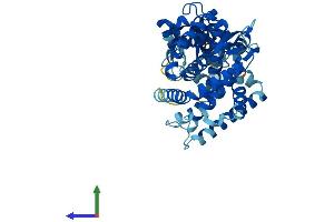 AlphaFold protein structure predicition of Mouse Recombinant Cyp20a1 Protein, UniprotID Q8BKE6