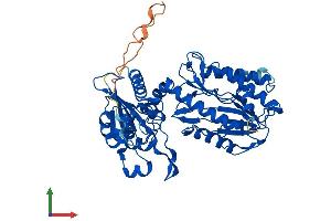 Protein Structure (PS) image for X-Prolyl Aminopeptidase (Aminopeptidase P) 3, Putative (XPNPEP3) (AA 1-507) protein (His tag) (ABIN7545199)