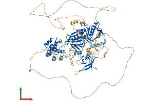Protein Structure (PS) image for Pleckstrin Homology Domain Containing, Family M (With RUN Domain) Member 2 (PLEKHM2) (AA 1-1018) protein (His tag) (ABIN7564240)
