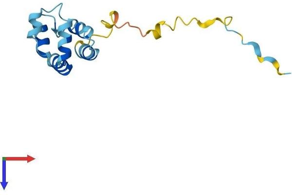 PEA15 Protein (AA 1-130) (His tag)