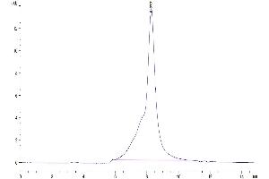The purity of Human DSG-2 is greater than 95 % as determined by SEC-HPLC. (Desmoglein 2 Protein (DSG2) (AA 50-609) (His tag))