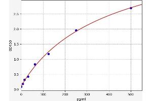 DMP1 ELISA Kit