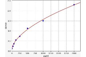 Typical standard curve (MBP/MBL ELISA Kit)