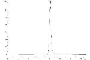 The purity of Human IL-18 R1 is greater than 95 % as determined by SEC-HPLC. (IL18R1 Protein (AA 19-329) (His-Avi Tag))