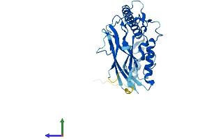 AlphaFold protein structure predicition of Human Recombinant ATP1B3 Protein, UniprotID P54709 (ATP1B3 Protein (AA 1-279) (His tag))