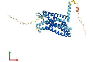 Protein Structure (PS) image for Chemokine (C-C Motif) Receptor 1 (CCR1) (AA 1-355) protein (His tag) (ABIN7553105)