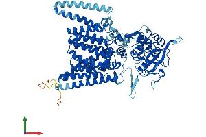 AlphaFold protein structure predicition of Mouse Recombinant Stt3a Protein, UniprotID P46978