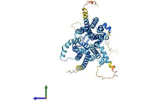 AlphaFold protein structure predicition of Mouse Recombinant Slc15a4 Protein, UniprotID Q91W98 (SLC15A4 Protein (AA 1-574) (His tag))