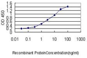 Detection limit for recombinant GST tagged CBX5 is approximately 0. (CBX5 antibody  (AA 1-191))