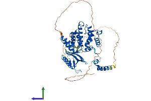 AlphaFold protein structure predicition of Mouse Recombinant Arhgap15 Protein, UniprotID Q811M1