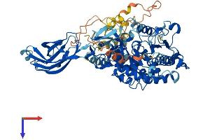 AlphaFold protein structure predicition of Mouse Recombinant Pla2g4a Protein, UniprotID P47713 (PLA2G4A Protein (AA 1-748) (His tag))