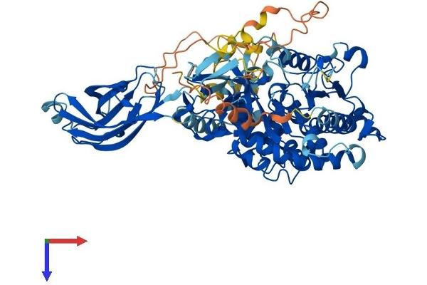 PLA2G4A Protein (AA 1-748) (His tag)
