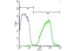 Mouse brain probed with Rabbit Anti-RSK2 (Tyr529) Polyclonal Antibody, Unconjugated (ABIN745283) (green) at 1:100 for 40 minutes followed by a FITC conjugated secondary compared to control cells (blue). (RPS6KA3 antibody  (pTyr529))