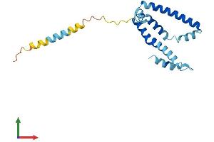 AlphaFold protein structure predicition of Human Recombinant SLC7A5P1 Protein, UniprotID Q8MH63 (SLC7A5P1 Protein (AA 1-180) (His tag))