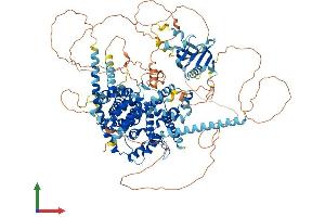 AlphaFold protein structure predicition of Mouse Recombinant Sgsm1 Protein, UniprotID Q8BPQ7