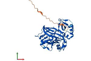 AlphaFold protein structure predicition of Human Recombinant FAHD2A Protein, UniprotID Q96GK7
