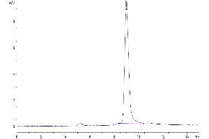 The purity of Mouse PSCA is greater than 95 % as determined by SEC-HPLC.