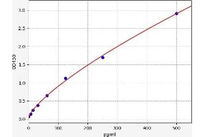 HNF1B ELISA Kit