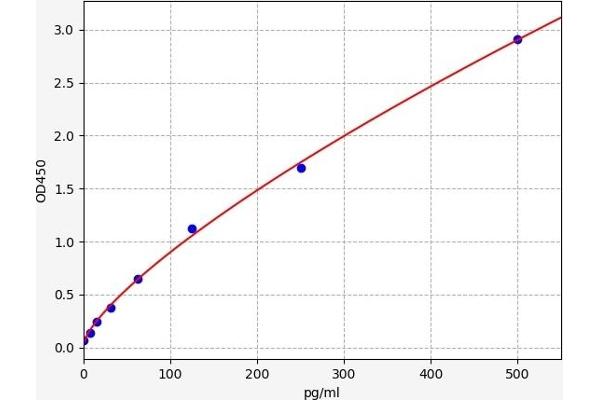 HNF1B ELISA Kit