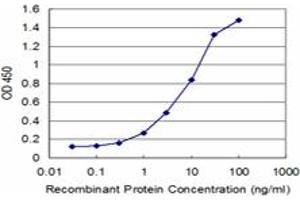Detection limit for recombinant GST tagged SNAI2 is approximately 0. (SLUG antibody  (AA 69-132))