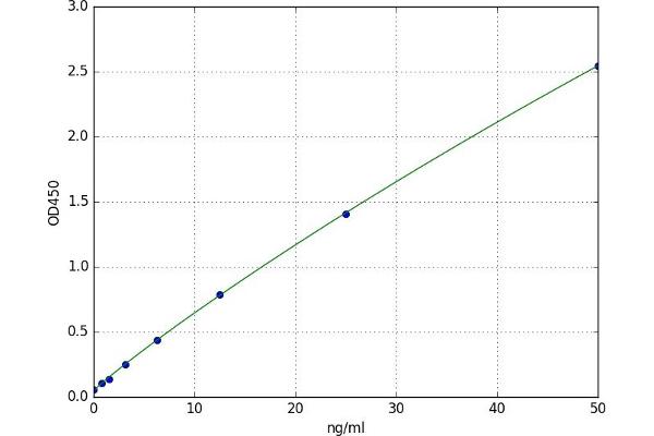 Acid Phosphatase ELISA Kit