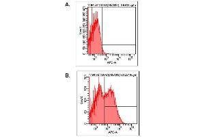 Detection of endogenous human LAG-3 by FACS analysis using anti-LAG-3 (human), mAb (17B4) (ATTO 647) . (LAG3 antibody  (N-Term) (Atto 647N))