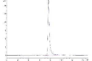 Size-exclusion chromatography-High Pressure Liquid Chromatography (SEC-HPLC) image for Amphiregulin (AREG) (AA 101-187) protein (Fc Tag) (ABIN7273804)