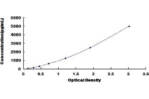 Typical Standard Curve for Mouse QSOX1 ELISA. (QSOX1 ELISA Kit)