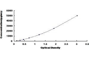 Typical Standard Curve for Mouse QSOX1 ELISA.