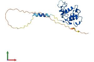 Protein Structure (PS) image for Sperm Acrosome Associated Protein 3 (SPACA3) (AA 1-215) protein (His tag) (ABIN7545956)