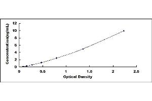 Typical standard curve (p21 ELISA Kit)