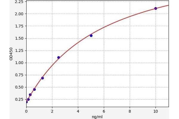 CD86 ELISA Kit