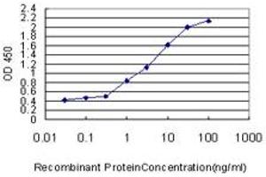 Detection limit for recombinant GST tagged SPIRE1 is approximately 0. (SPIRE1 antibody  (AA 482-583))