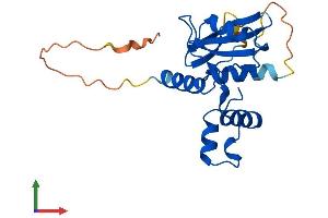 AlphaFold protein structure predicition of Mouse Recombinant Socs2 Protein, UniprotID O35717