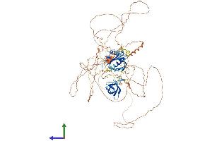 AlphaFold protein structure predicition of Human Recombinant MAPK8IP2 Protein, UniprotID Q13387 (IB2 Protein (AA 1-824) (His tag))