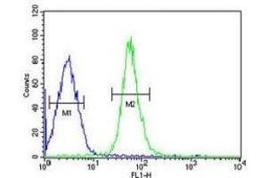 HMGA2 antibody flow cytometric analysis of HepG2 cells (right histogram) compared to a negative control (left histogram). (HMGA2 antibody  (AA 64-92))