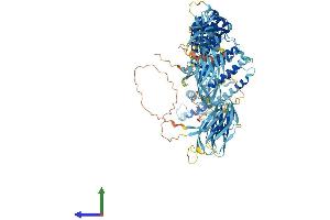 Protein Structure (PS) image for Transmembrane Protein 1 (TMEM1) (AA 1-1259) protein (His tag) (ABIN7555815)