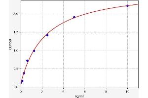 KCNJ10 ELISA Kit