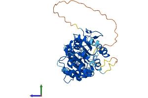 Protein Structure (PS) image for tRNA Aspartic Acid Methyltransferase 1 (TRDMT1) (AA 1-391) protein (His tag) (ABIN7544713)