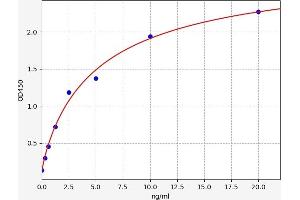 Typical standard curve (CYP2B6 ELISA Kit)
