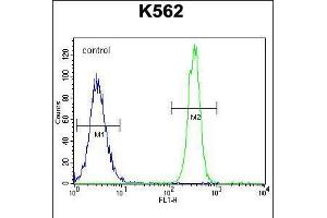 Flow Cytometry (FACS) image for anti-Nitric Oxide Synthase 3 (Endothelial Cell) (NOS3) (AA 1156-1183) antibody (ABIN5536665)