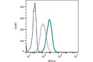 Cell surface detection of P2X1 by direct flow cytometry in live intact mouse P815 mast cells: + Rabbit IgG Isotype control-APC (ABIN7582043).