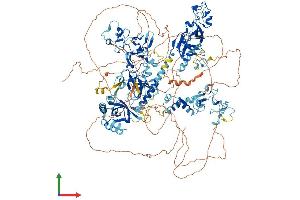 Protein Structure (PS) image for Wolf-Hirschhorn Syndrome Candidate 1 (WHSC1) (AA 1-1365) protein (His tag) (ABIN7554765)