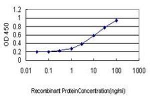 Detection limit for recombinant GST tagged TXNL1 is approximately 1ng/ml as a capture antibody. (TXNL1 antibody  (AA 190-289))